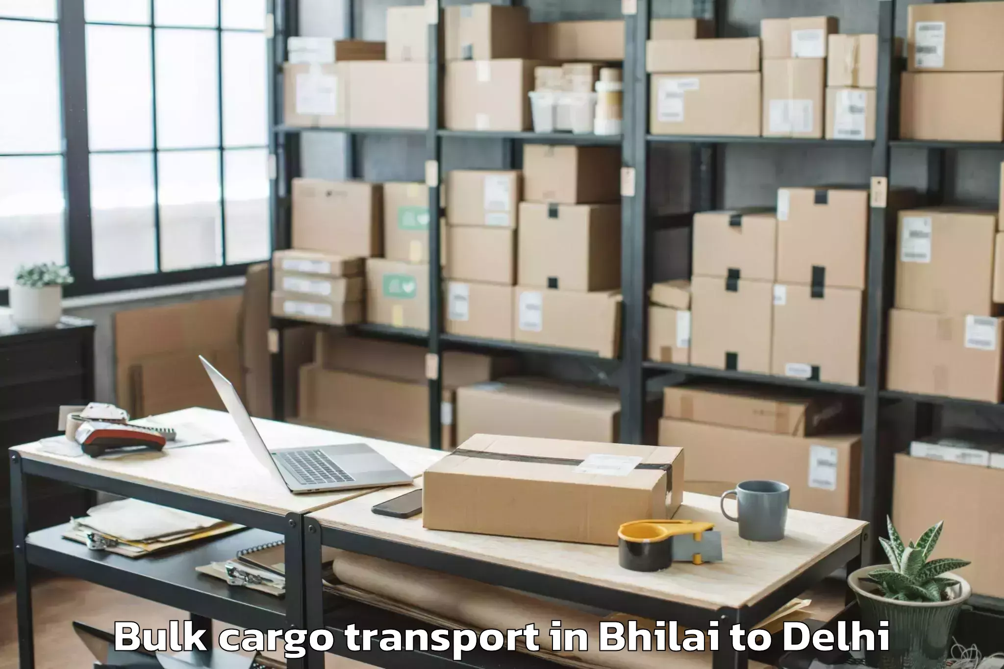 Easy Bhilai to University Of Delhi New Delhi Bulk Cargo Transport Booking